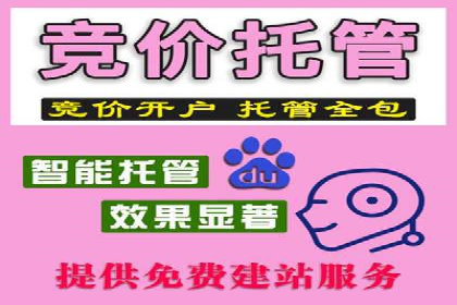 SEM竞价代运营：打造爆款广告案例